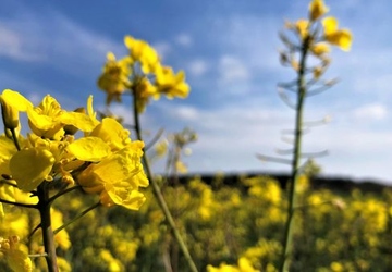 What Does Living Sustainably Really Mean