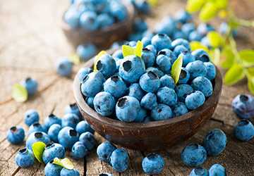 Top 5 Superfoods to Integrate into Your Diet Today